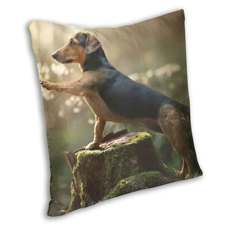 Dachshund Cushion Cover Sofa Home Decorative Badger Sausage the Wiener Dog Square Throw Pillow Case 40x40cm