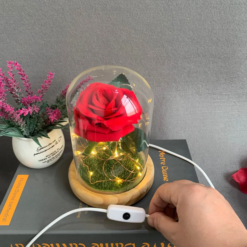 LED Flower Lights Rose Beauty The Beast In Glass Cover Christmas Home Decor for Mother Valentines Day New Year Gift