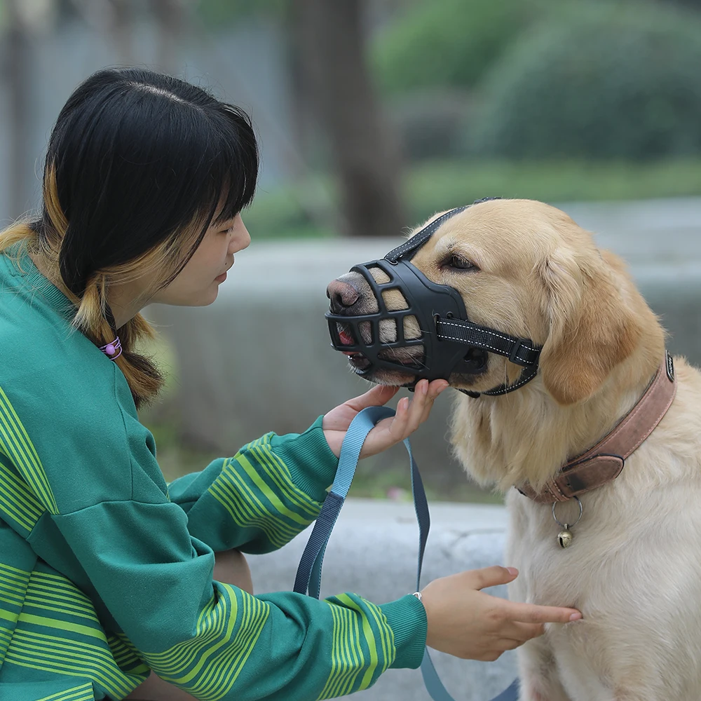 Hoopet Breathable Durable Muzzle For Large Dog Corgi Alaska Mask Golden Retriever Leash Harness Nylon Outing Pet Basket Supplier