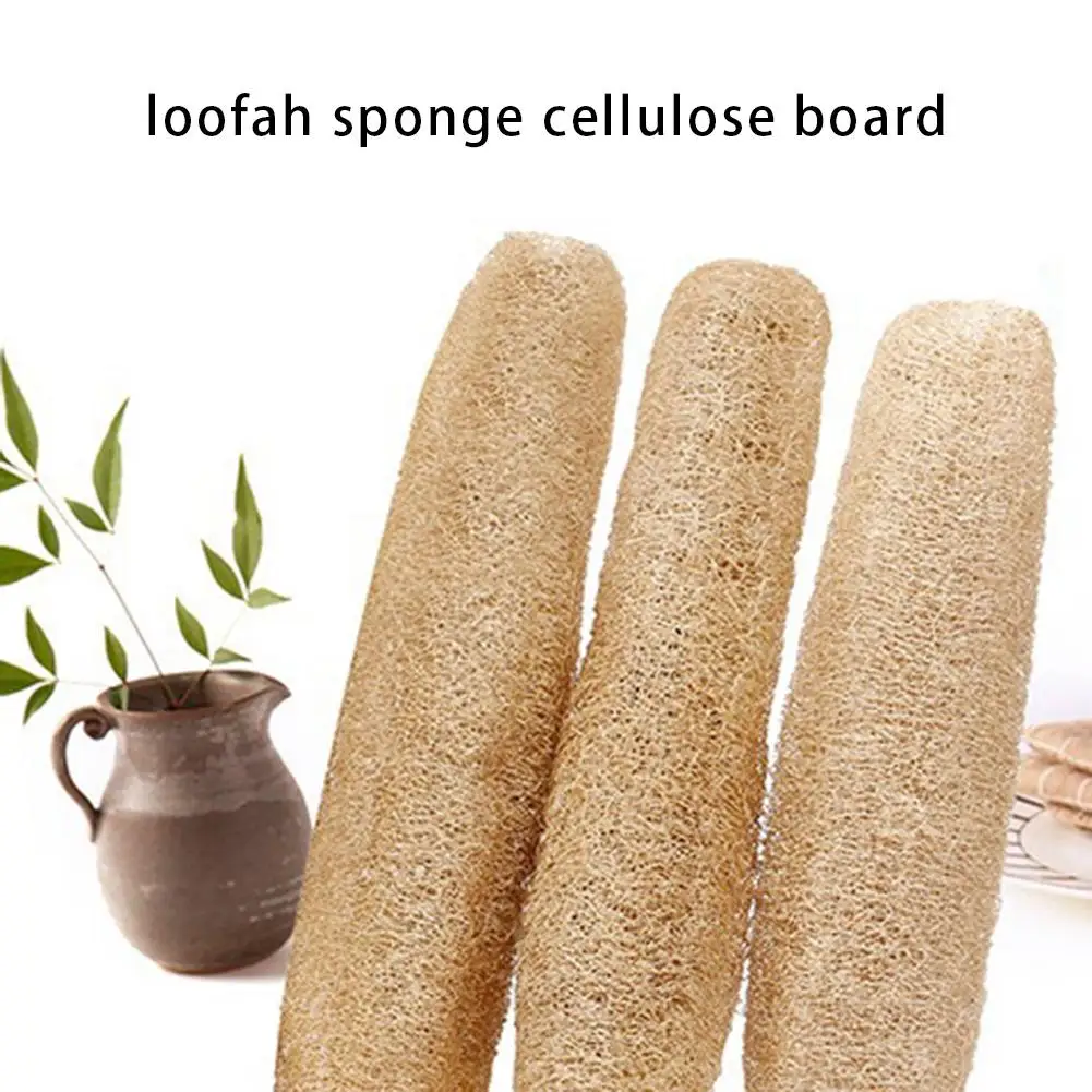 Full Loofah Natural Exfoliation Biodegradable Loofah Sponge Cellulose Board Scrubber Scrubber Kitchen Bathroom