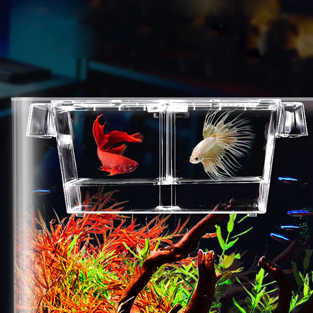 Behogar Acrylic Fish Tank Breeding Isolation Breeder Box Aquarium Hatchery Incubator Holder with Suction Cups Cage 12 x 7 x 7cm