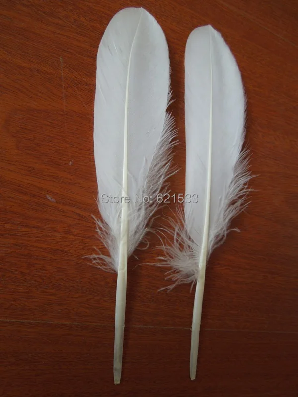 

Шлейфы! 100 шт./лот! 15-20 см NATURE WHITE GOOSE Quill FEATHERS, гусиные перья крыльев для мошниц, поделок, свадеб