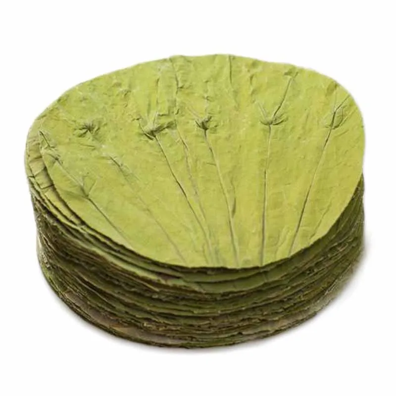 

30pcs High quality pure natural dried round dried lotus leaf 9-26cm Raw color