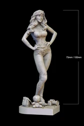 1/24 75mm 1/18 100mm Resin Model Kits Beauty Girl Unpainted No Color RW-109