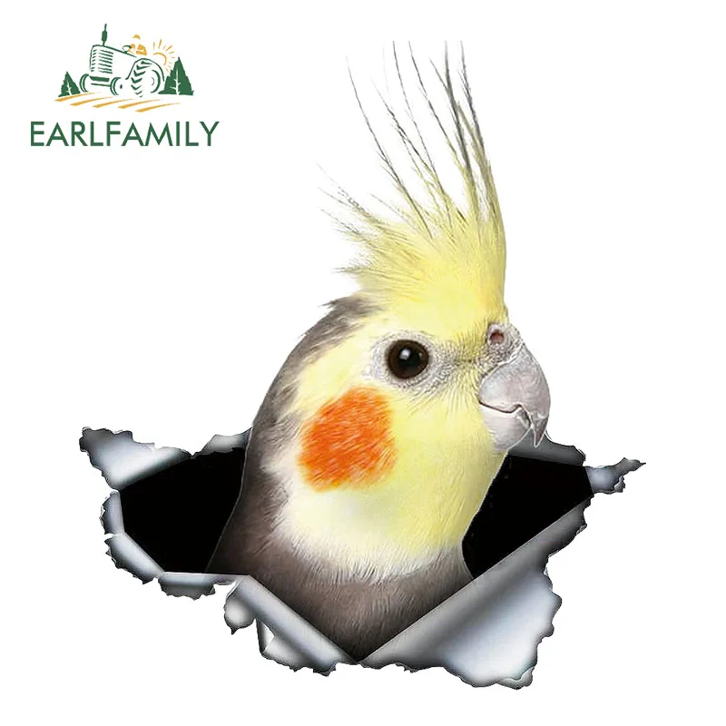 EARLFAMILY 13cm x 11.3cm Cockatiel Parrot Lovely Bird Car Sticker Sunscreen Decal Laptop Motorcycle Car Accessories Custom Decal