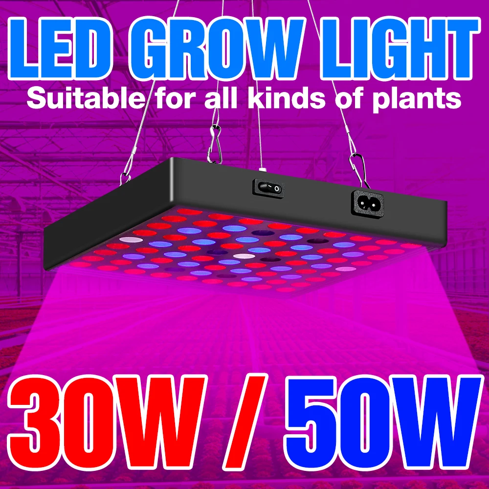 Grow Light 30W 50W Plant Lamp LED Full Spectrum Lamp Growing LED Hydroponic Light Phyto Flower Seedling LED Greenhouse Fitolamp