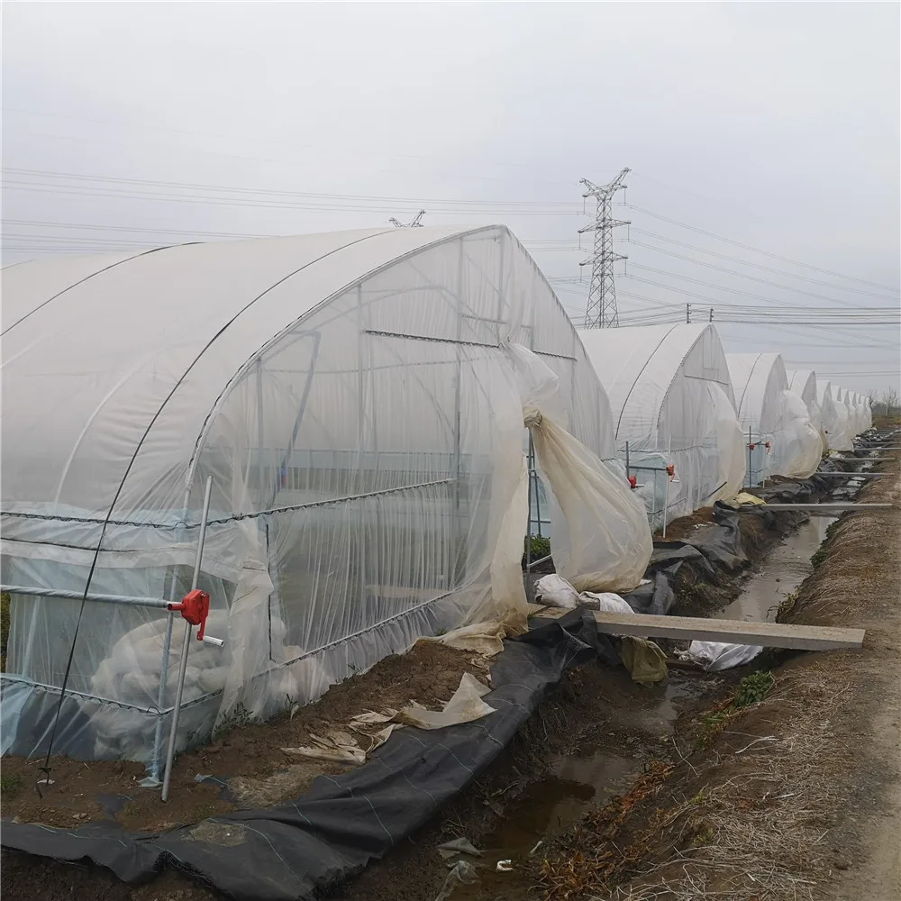 Agriculture Equipment Plastic shed Single-span Greenhouses Polytunnel