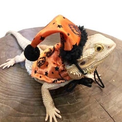 Adjustable Bearded Dragon Costume 2Pcs Hat with Cloak for Reptiles Small Pet Animals Holiday Dress Up Accessories