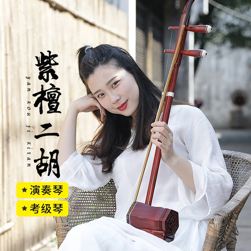 Rosewood Hu Qin Professional Performance Erhu Chinese Instrument with Full Accessories