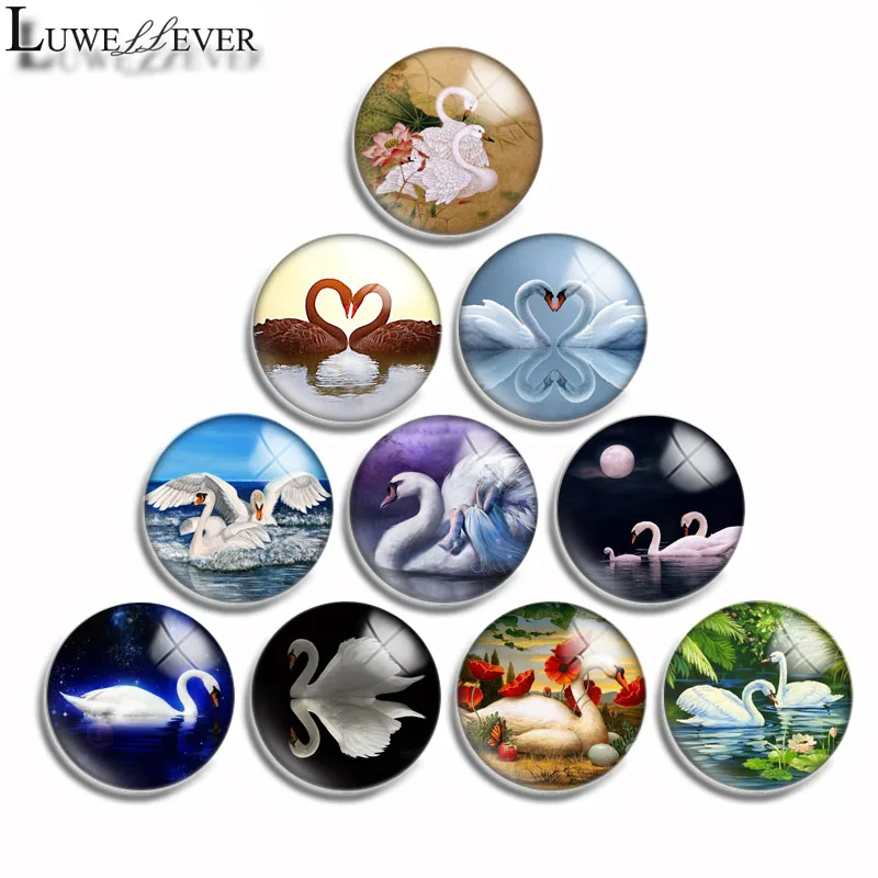 10mm 12mm 16mm 20mm 25mm 30mm 516 Beautiful Swan Mix Round Glass Cabochon Jewelry Finding 18mm Snap Button Charm Bracelet