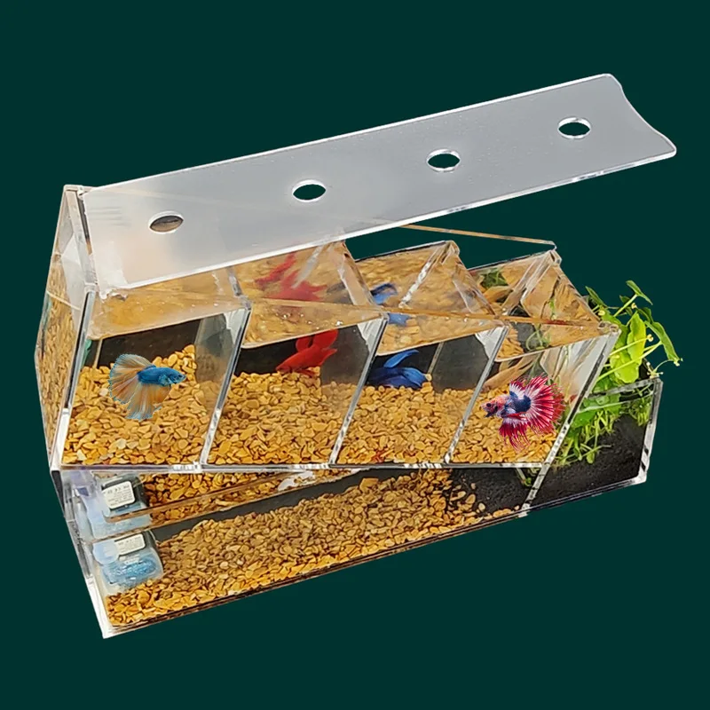 Acrilico Betta Fish Tank Multi-cell isolamento Area filtrazione autocircolante serbatoio per acquario ecologico senza acqua regali per bambini