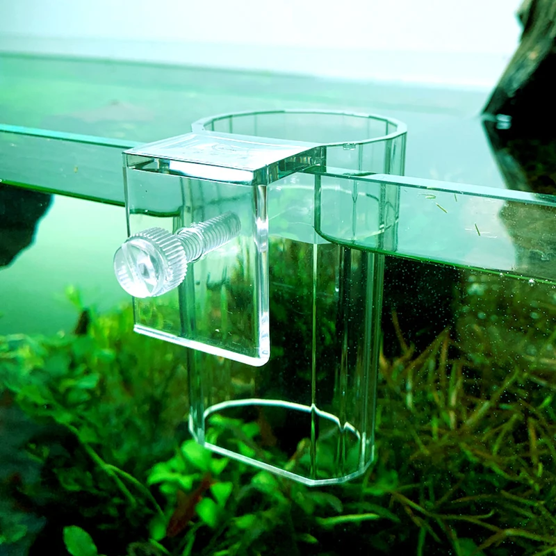 Alimentador de aquário de acrílico transparente Alimentador aquático Anel flutuante de alimentação de alimentos Betta Alimentador de camarão Suprimentos de aquário