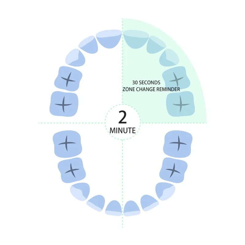 Spazzolino elettrico sonico ricaricabile 5 modelli caricatore USB IPX7 impermeabile cinque modalità di spazzolatura spazzolino automatico Ultra sonico