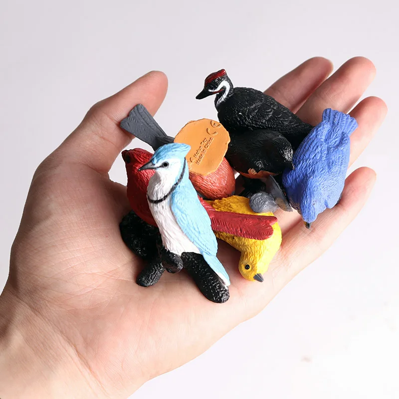 Oenux Bird Animal Parrot Flamingos Hummingbird Owl Magpie Model Action Figure Figurines Miniature Education Kid Toy Cake Toppers