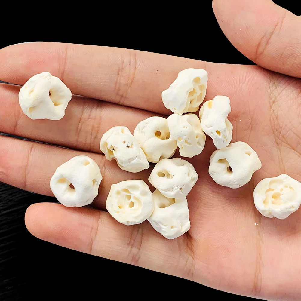 5pcs Natural Pig Shin Bone Beads Irregular Amulet Bracelet Charm DIY Necklace Woman Girl Pendant Jewelry finding Accessory Gift