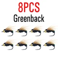 8pcs  Greenback