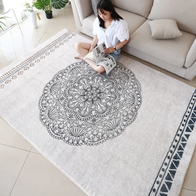 Nordic Simple Carpets for Living Room Soft Shaggy Kids Room Carpet Bedroom Sofa Coffee Table Floor Mat Fluffy Large Rugs Carpet