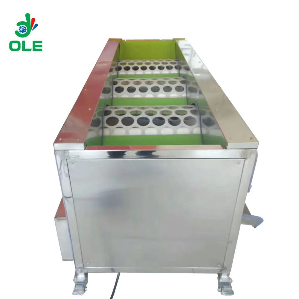 스테인레스 스틸 과일 분류 기계, 애플 오렌지 마늘 등급 기계