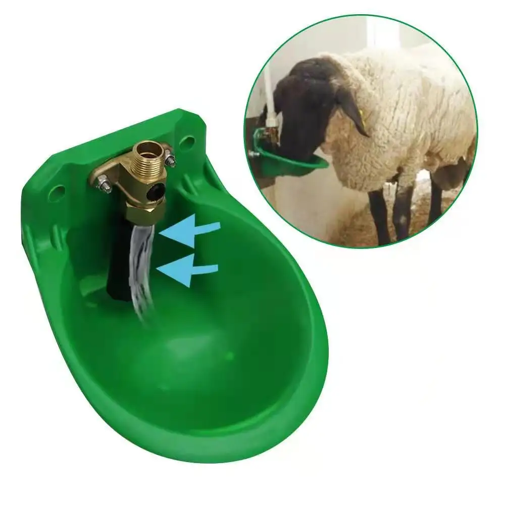 Automatico durevole pecora bevitore tazza Catter capra ciotola per bere cavallo acqua alimentatore strumento fattoria animale mucca ciotola di