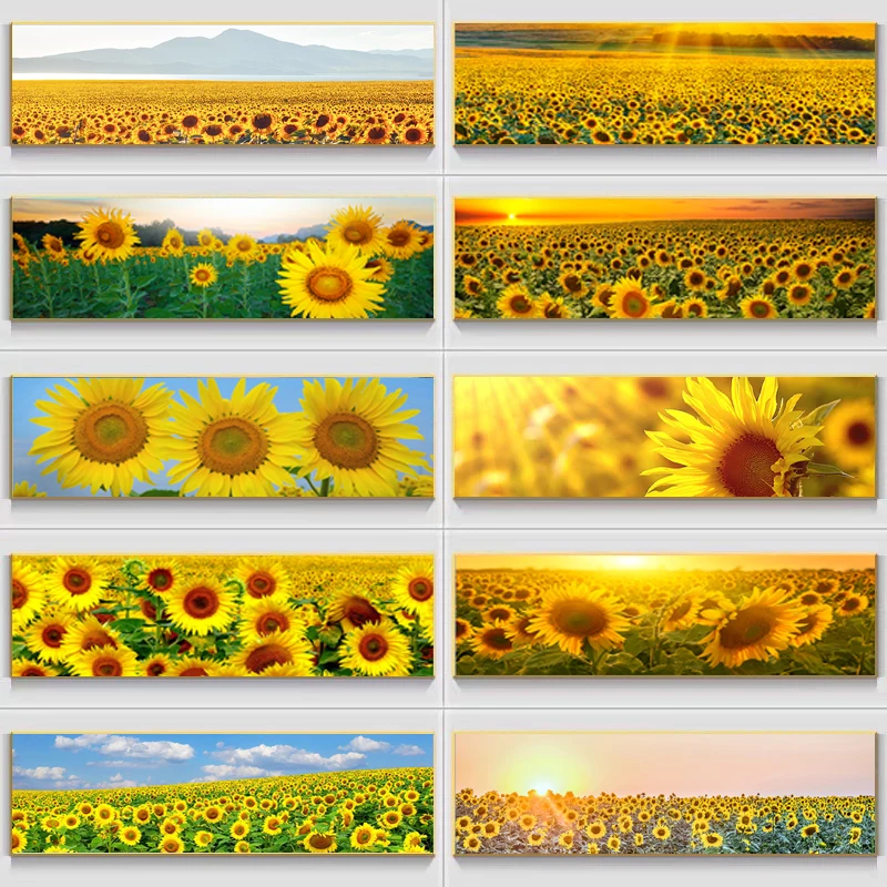 Sunflower Field Nature Scenery Aesthetics Canvas Painting Wall Art Picture Posters and Prints for Living Room Home Artwork Decor