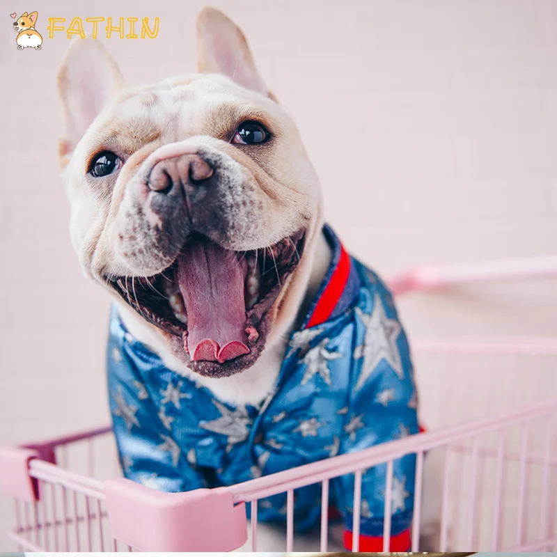 FATHIN French Bulldog Clothes Dog Hoodie Luxurious Adidog Warm Sport Retro Dog Hoodies Pet Clothes S-XL