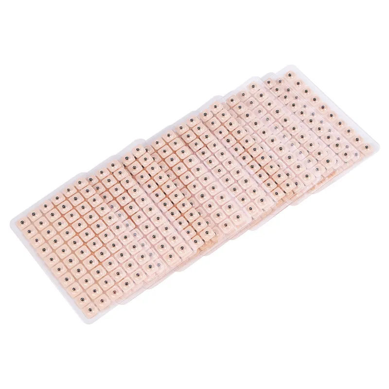 6000Pcs Acupuncture Needle Ear Seeds Vaccaria Seeds Ear Massage Paste Ear Stickers Auricular Effective Ear Acupoint Press seed