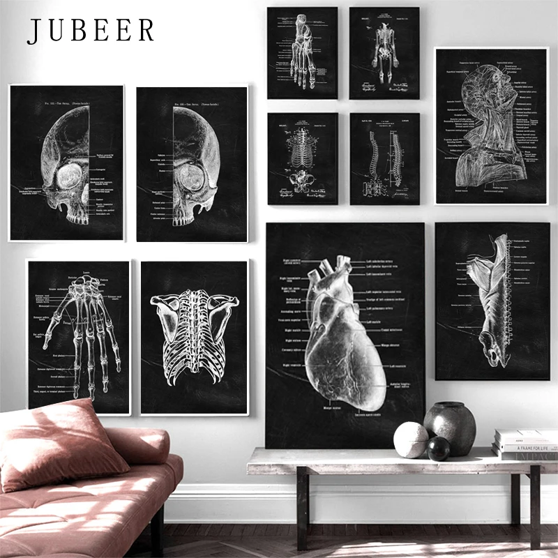 

Muscle Foot Bone Wall Art Heart Anatomy Skeleton Canvas Painting Nordic Posters And Prints room Pictures For Doctor Office Decor