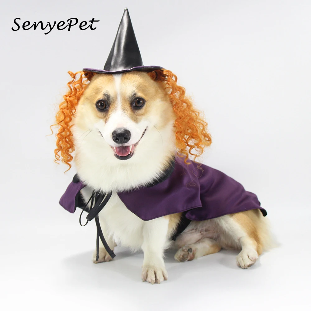 Pet Halloween Cosplay Costume Pet Dog Halloween Costume Pet Witch Ponchos and Hat for Small Medium Large Dog