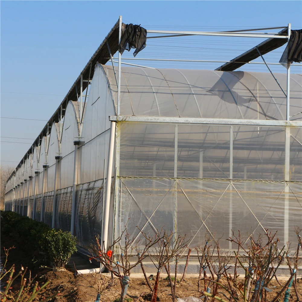 Intelligent multi-span plastic film greenhouse for planting vegetables, growing flowers and recreation