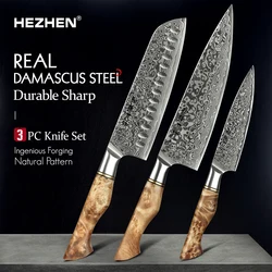 HEZHEN 3PC Knife Set Professional Damascus Steel Utility Santoku Chef Knife For Meat Japanese Cook Kitchen Knife