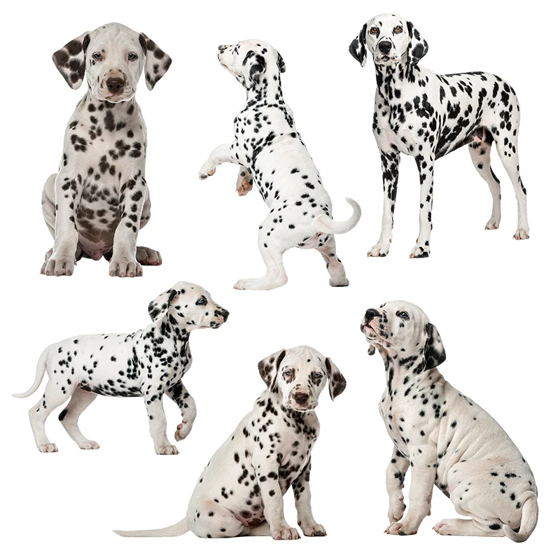 Three Ratels QC388 HD pixel cute Dalmatians Waterproof dog sticker Vinyl auto Wrap for car hood laptop home decoration decals