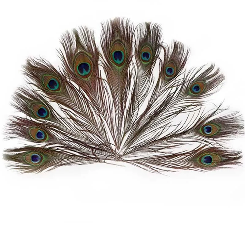 10Pcs/lot Peacock Feather Length 25-30cm10-12