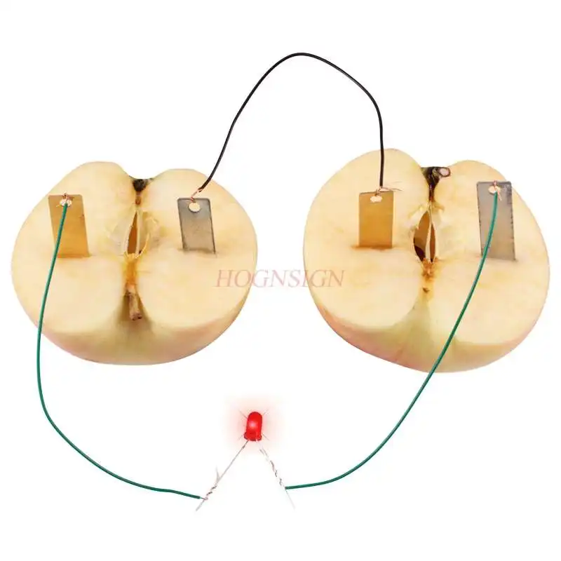 Scientific Experiment Equipment Fruit Conductive Experiment Fruit Battery Technology Small Production School Supplies