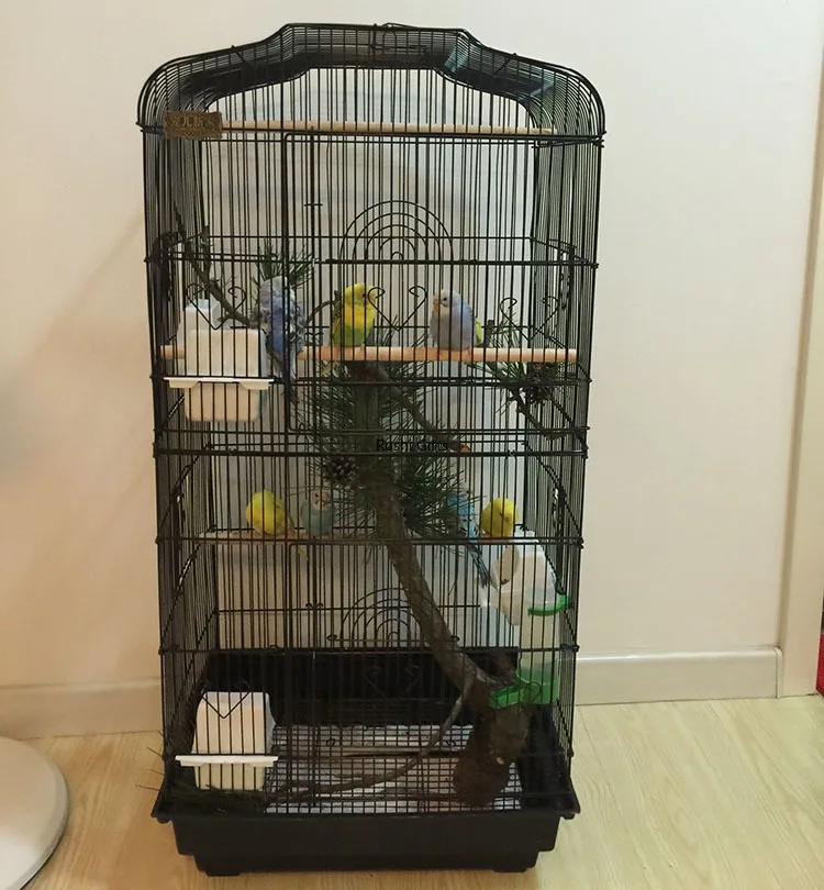 With Accessories Large Bird Cage Metal Bird House Iron Parrot Cage Metal Peony Wren Breeding Cage Nest Bed Iron Pigeon Supplies