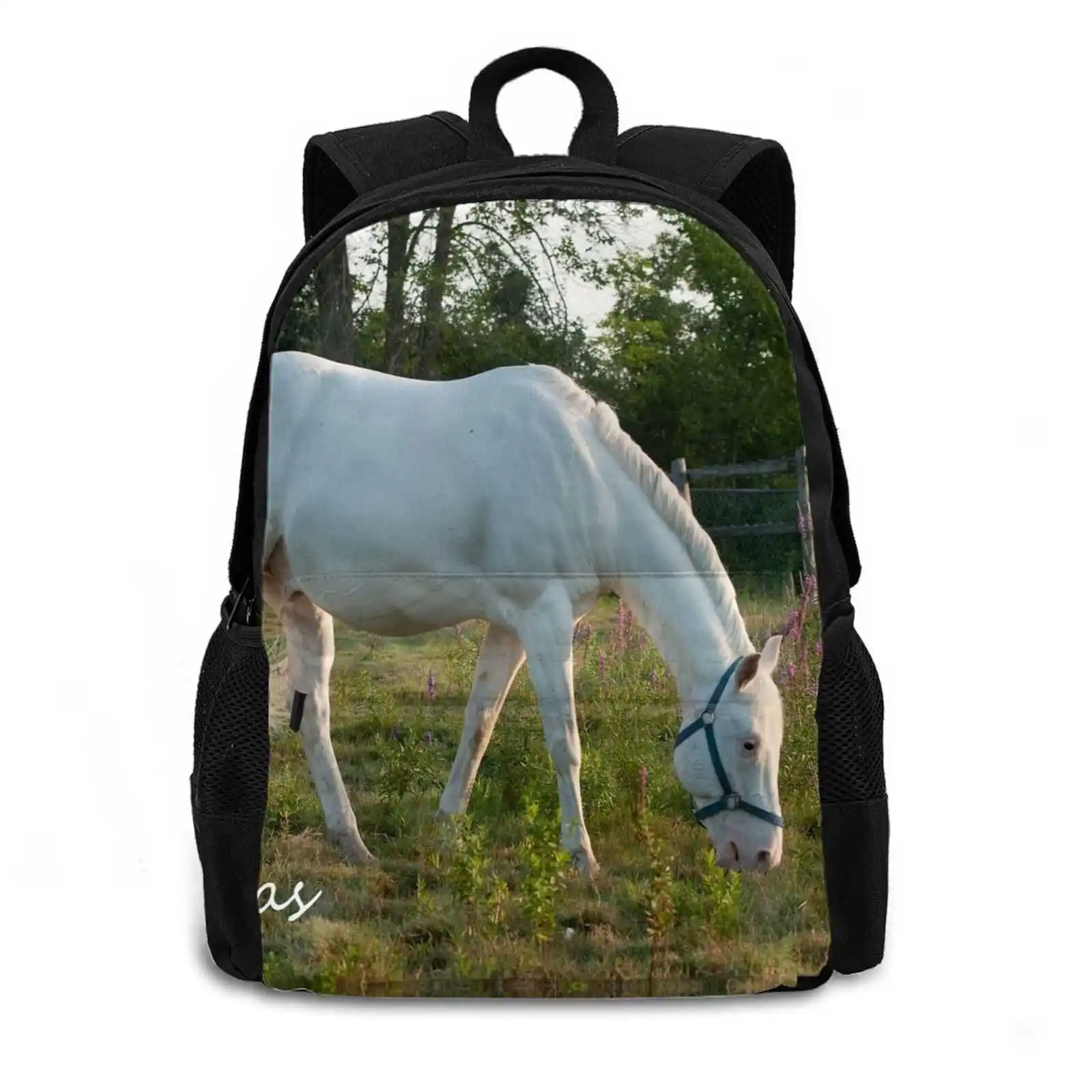 Thomas-Nnep Ottawa , On Hot Sale Schoolbag Backpack Fashion Bags White Horses Nnep Ottawa Friends Of The Park Horse Photography