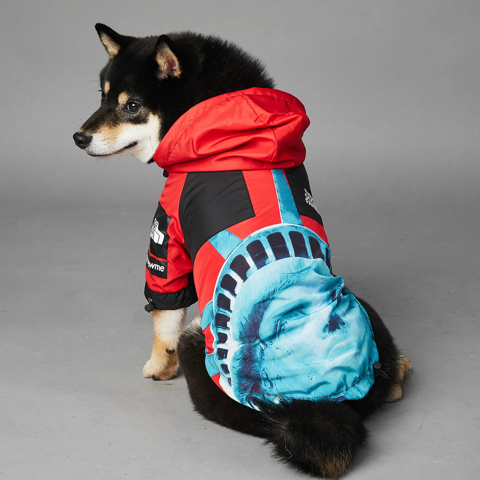 Small Dog Clothes American Flag Tide Brand Windproof and Rainproof New Dog Large Dog Raincoat in the North Dogs Pets Cool Jacket