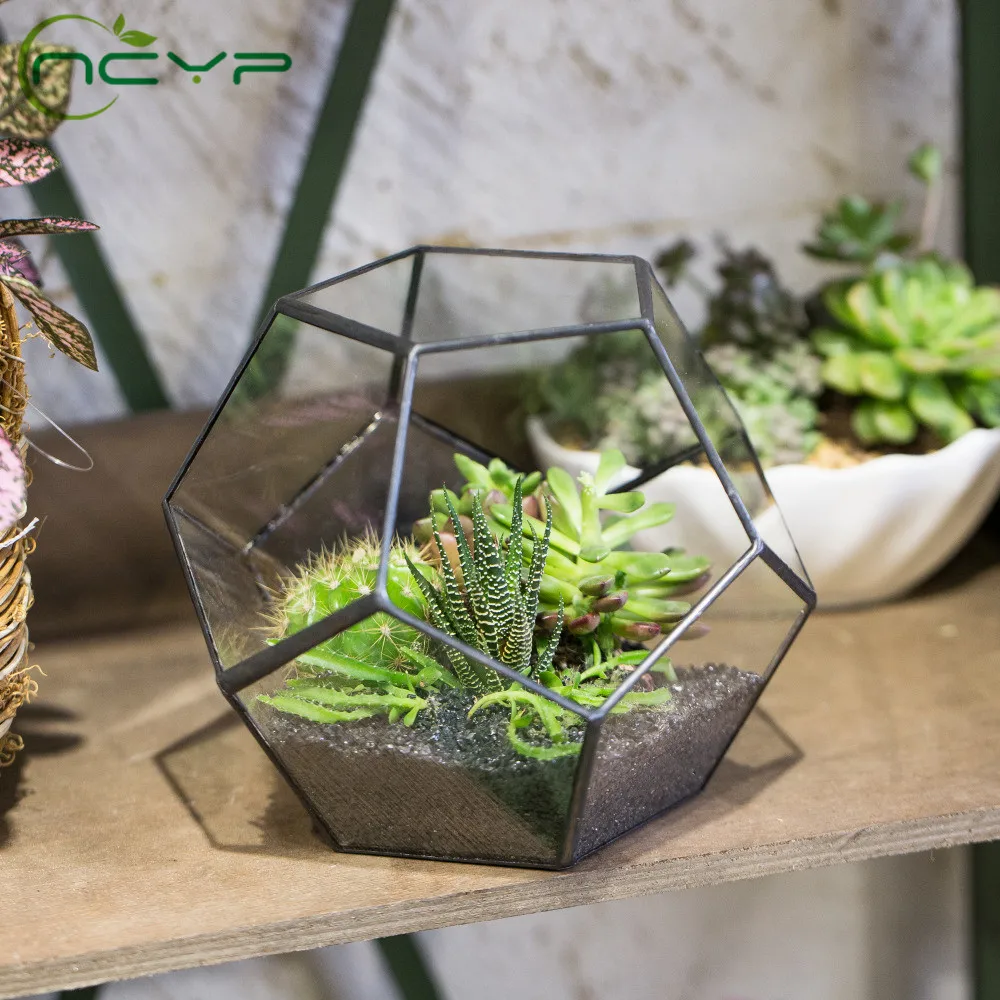 NCYP Geometric Pentagon Glass Flower Pots Ball Globe Shape Glass Terrarium Moss Succulent Plants Container Planter Flower Pot