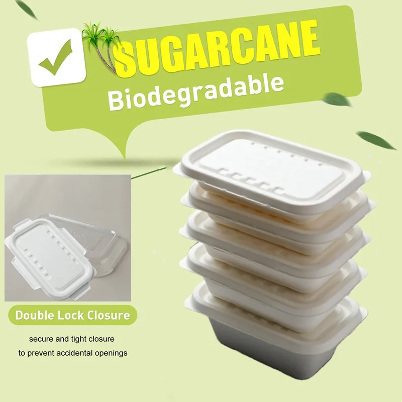 Sugarcane Bagasse Compostable Rectangle Container with 2 Lids Sushi Disposable Meal Prep Takeout Box Food Tray