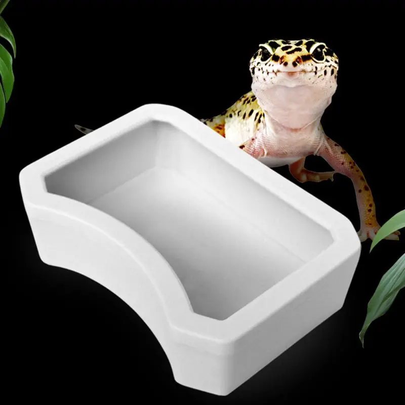 Bowl Feeding Dish Drinking Basin Tray Fit for Lizard for Turtle Hermit Habitat F19B