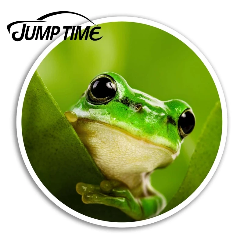 Jump Time   Green Tree Frog Vinyl Stickers Nature Sticker Laptop Luggage Car Assessoires Window Decals Car Wrap DIY