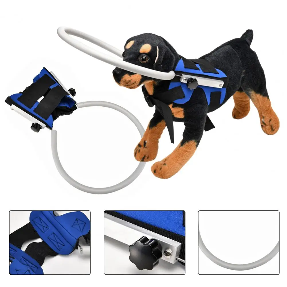 2 Colors Great Blind Dog Harness Guiding Device Ring Lightweight Blind Dog Safe Halos Adjustable for Puppy Shop