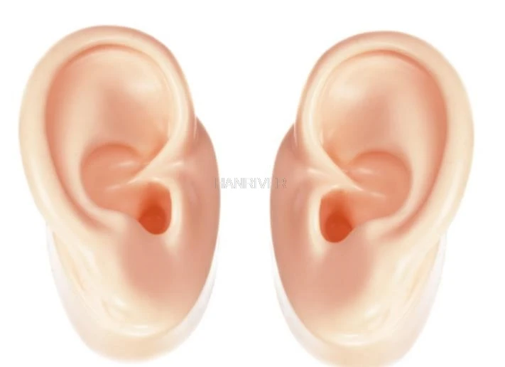 

1 Pair Silicone Ear Model Soft Adult Simulation Ears for Hearing Aid Shop Window Display (1 Left Ear + 1 Right Ear)