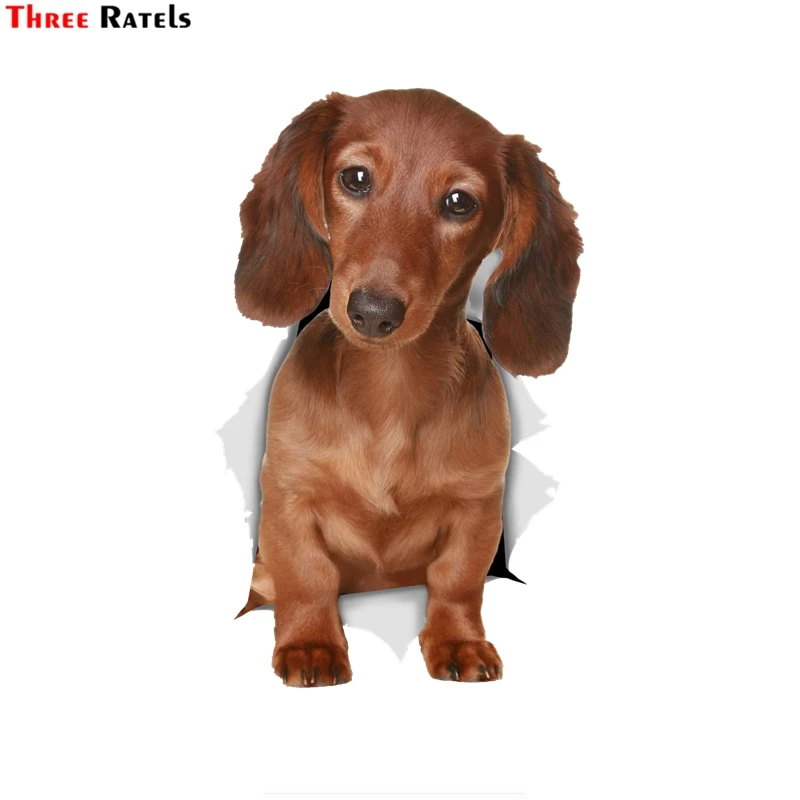 Three Ratels 1070 3D  Long Haired Dachshund SauWall Stickers For Kids Baby Girls Rooms Nursery Home Decor Vinyl  Wall Decals Diy