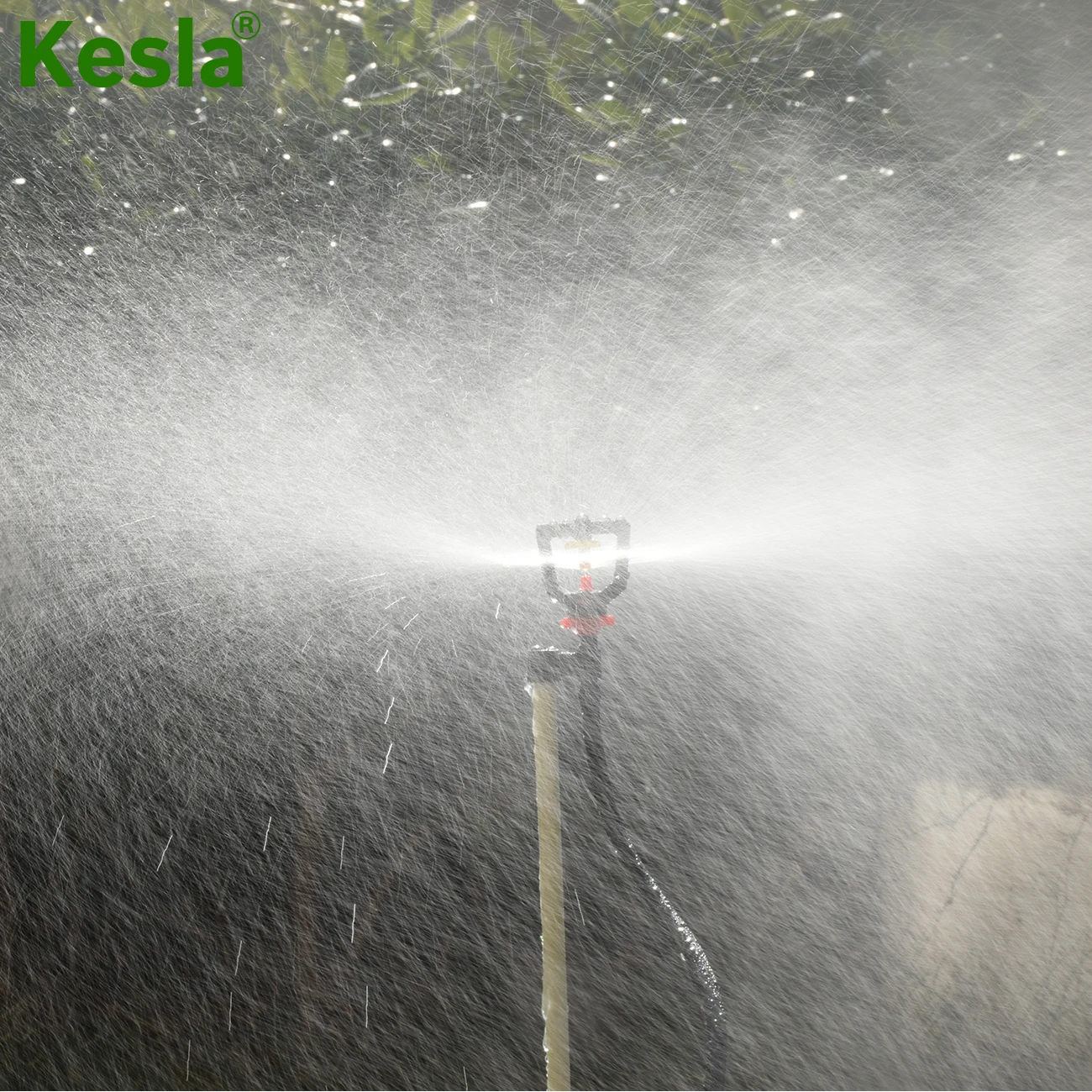 KESLA 20/50/100PCS Garden Irrigation Micro Sprinklers on 20cm Stake Support 360 Degrees Refraction Misting Spray Greenhouse Tool