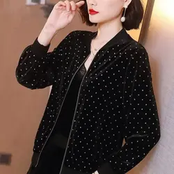 Gold Velvet Zip Up Bomber Jacket, Plus Size Black Casual Coat, Thin Long Sleeve M-3XL
