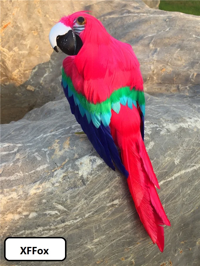 

new real life red&blue parrot model foam&feather wings parrot bird gift about 30cm xf2596