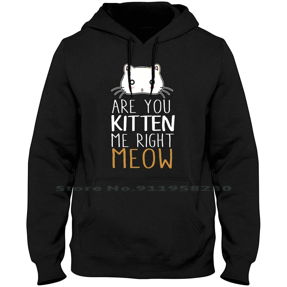 Are You Kitten Me Right Now Hoodie Sweater Cotton Illustration Popular Animals Kitten Trend Right Cute You Ten Rig Hot End