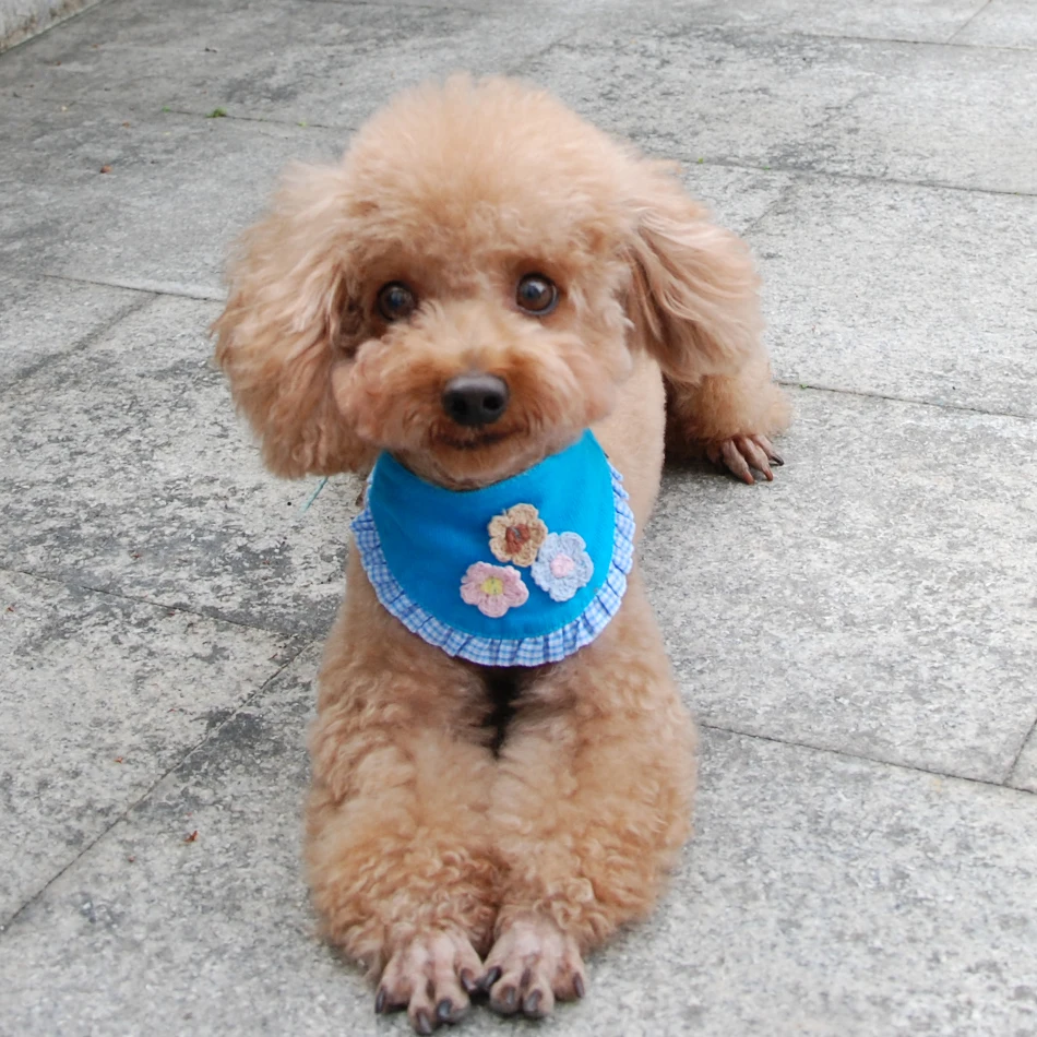 개 고양이 두건 격자 무늬 조절 스카프 고양이를 위한 빨 수있는 칼라 강아지 소형 중형 대형 개 용품, 애완 동물 액세서리