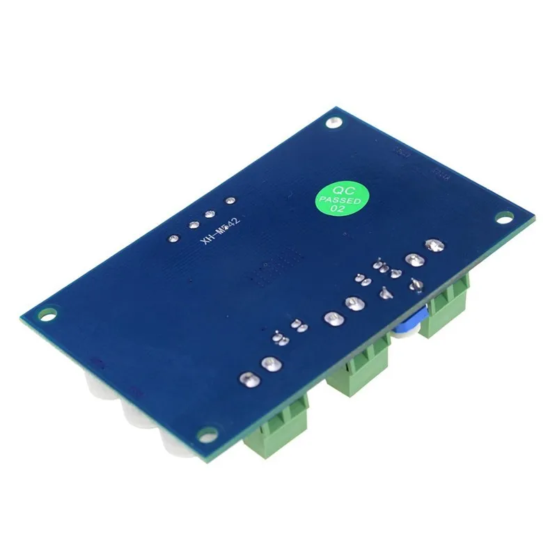 Mono 100W digital amplifier board TPA3116D2 Digital Audio Amplifier Board 12-24V High Power Digital XH-M542