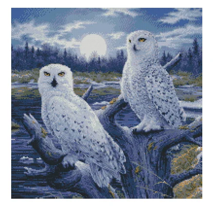 Two owls in the Moonlight Cross Stitch Kits Needlework 14CT Unprinted Embroidery Top Quality DIY Handmade Decoration